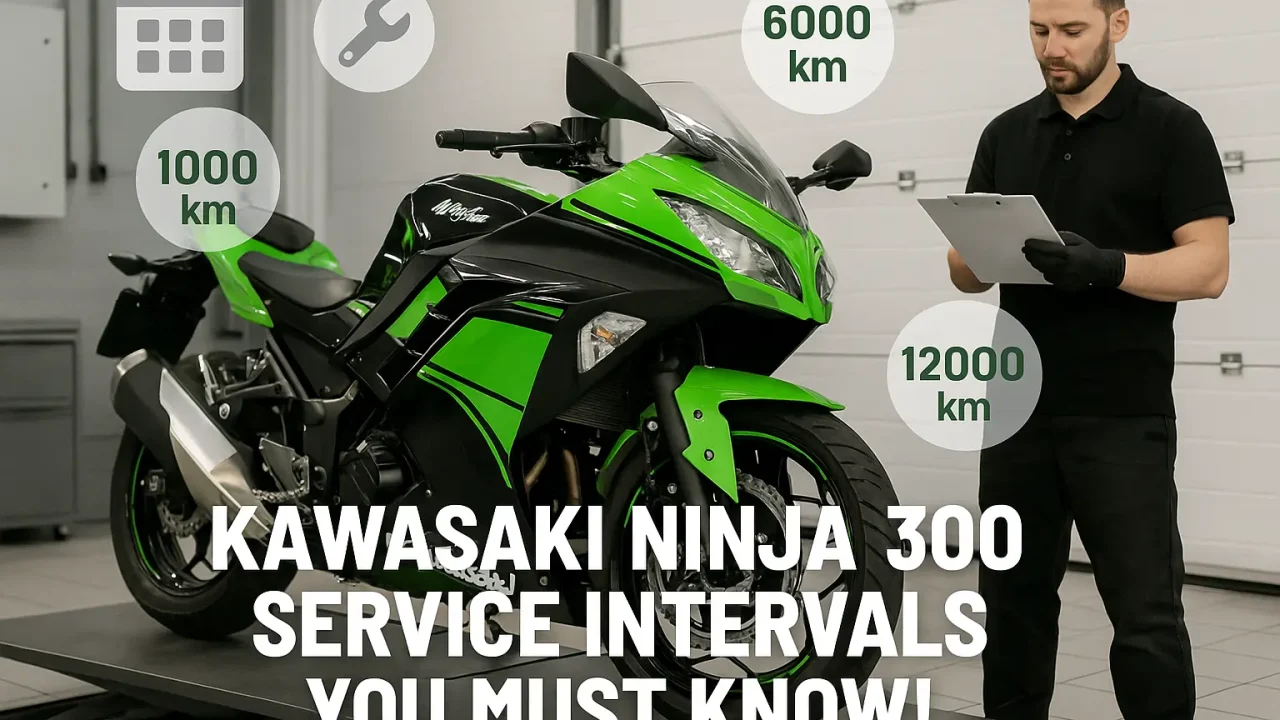 kawasaki ninja 300 service intervals